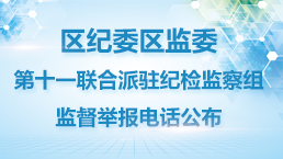 区纪委区监委第十一联合派驻纪检监察组监视举报电话宣布