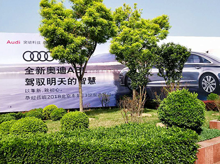 mg不朽情缘(中国)游戏官方网站