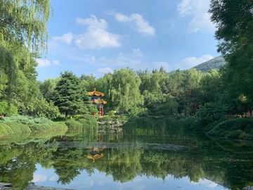 mg不朽情缘(中国)游戏官方网站
