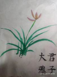 mg不朽情缘(中国)游戏官方网站